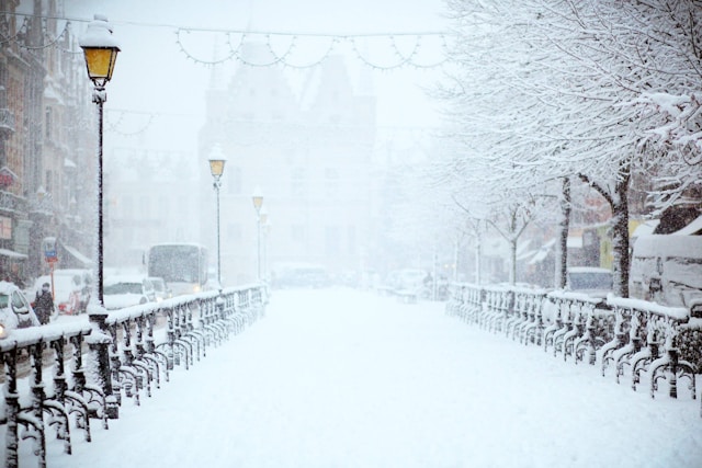 Photo by Filip Bunkens on Unsplash
